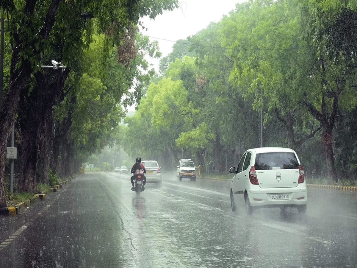 Weather Report: बारिश का नहीं हुआ असर; उमस से परेशान, जानें कैसा रहेगा मौसम 