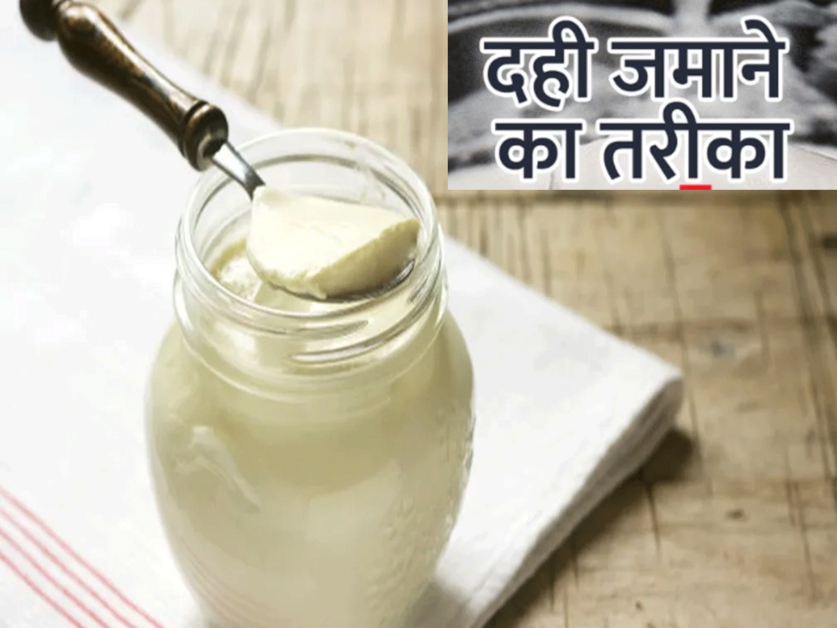 Thick Creamy Curd : बिना जामन के ऐसे जमाएं मोटी मलाई वाली दही