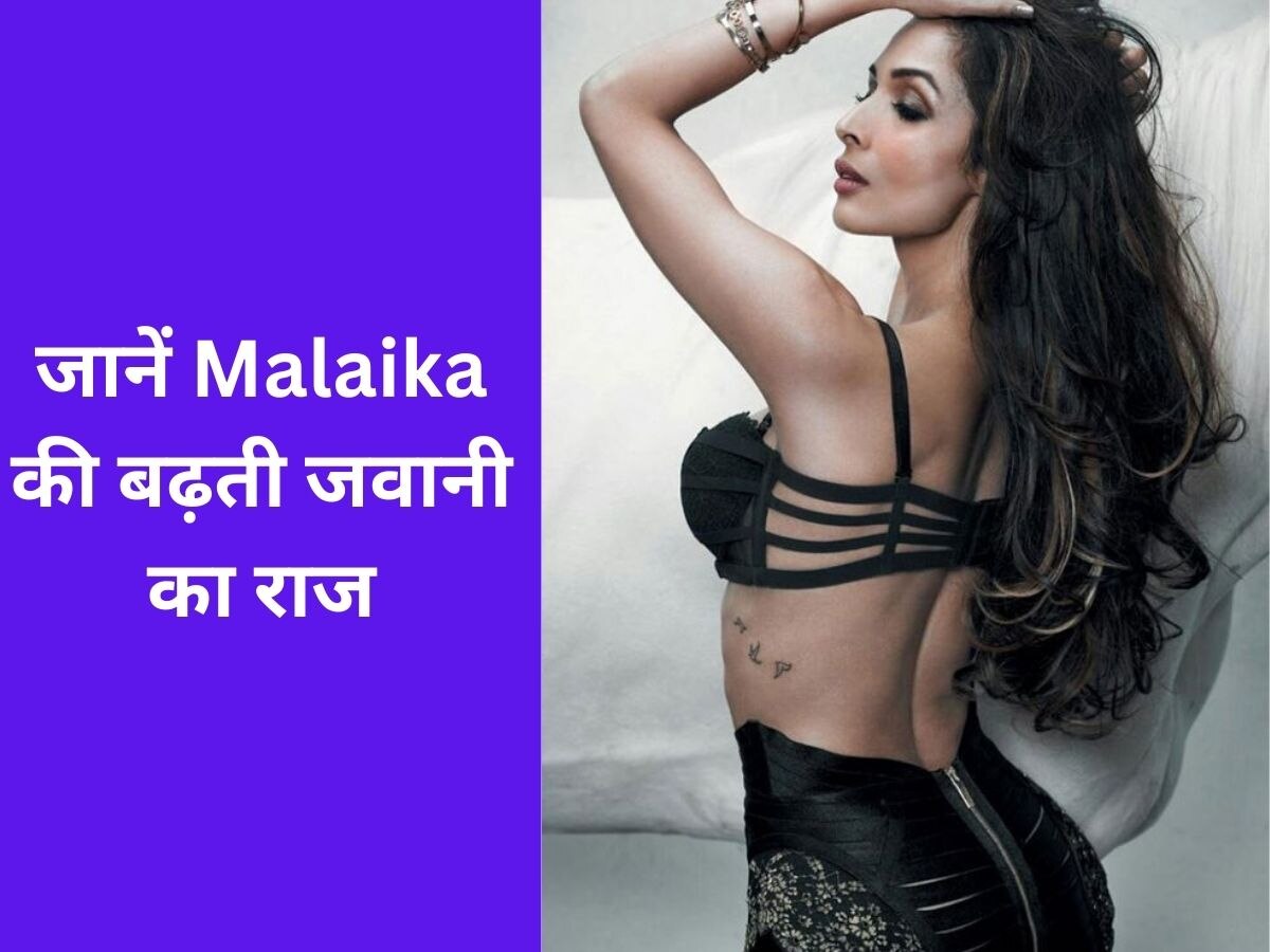 सिर से पांव तलक Malaika Arora ने दिखाया हुस्न का कमाल...अदा देखीं तो लगीं बेमिसाल 