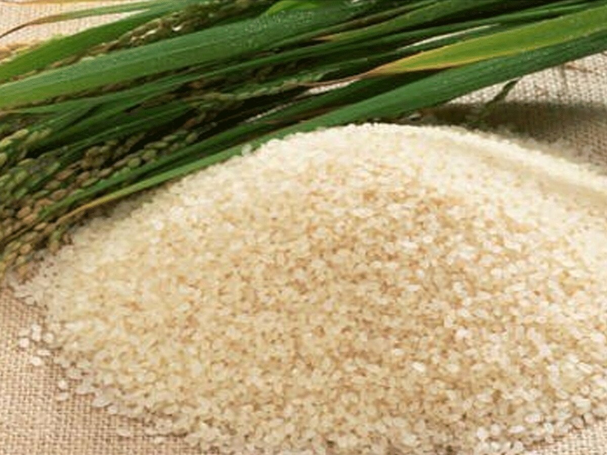  Delhi News: जोहा चावल कैंसर से करता है बचाव, डायबिटीज में भी प्रभावी, जानें और क्या क्या है गुण