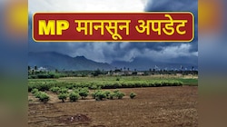 बस कुछ घंटे..! इन जिलों से मध्य प्रदेश में आएगा मानसून, 3 दिन में पूरे राज्य में असर