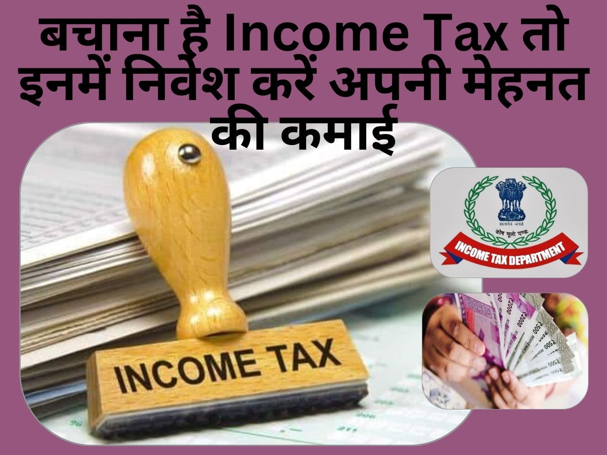 Income Tax बचाना चाहते हैं तो यहां लगाएं पैसा, एक रुपये भी नहीं भरना पडे़गा टैक्स