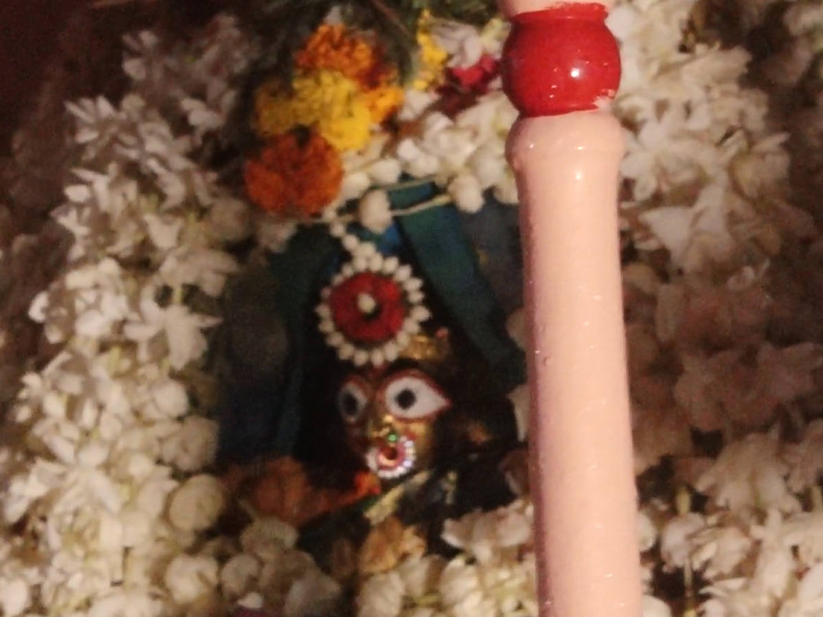 Rathayatra 2023: ଆମେରିକାରେ ପାଳନ ହେଲା ରଥଯାତ୍ରା, ଏପଟେ ହେରାପଞ୍ଚମୀ ନୀତି ସମ୍ପନ୍ନ Rathayatra 2023: ଆମେରିକାରେ ପାଳନ ହେଲା ରଥଯାତ୍ରା, ଏପଟେ ହେରାପଞ୍ଚମୀ ନୀତି ସମ୍ପନ୍ନ