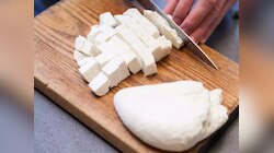 Paneer For Weight Loss: तेजी से घटाना चाहते हैं वजन, तो इस तरह से खाएं पनीर