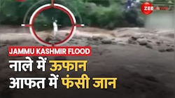 Poonch में मेंढर के हरनी नाले में  अचानक बाढ़ आने से फंसा शख्स