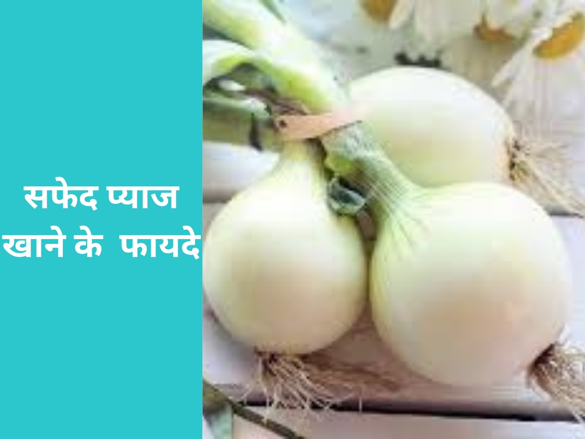 White Onion: सफेद प्याज को रोजाना खाना कर दें शुरू, बॉडी को मिलेंगे ये बड़े फायदे