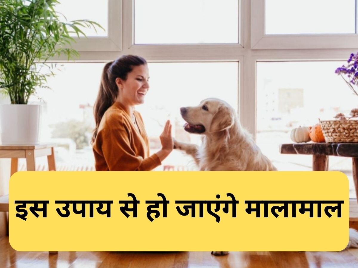 Vastu Tips घर में कुत्ता पालना होता है बेहद शुभ, कभी नहीं होती पैसे की कमी
