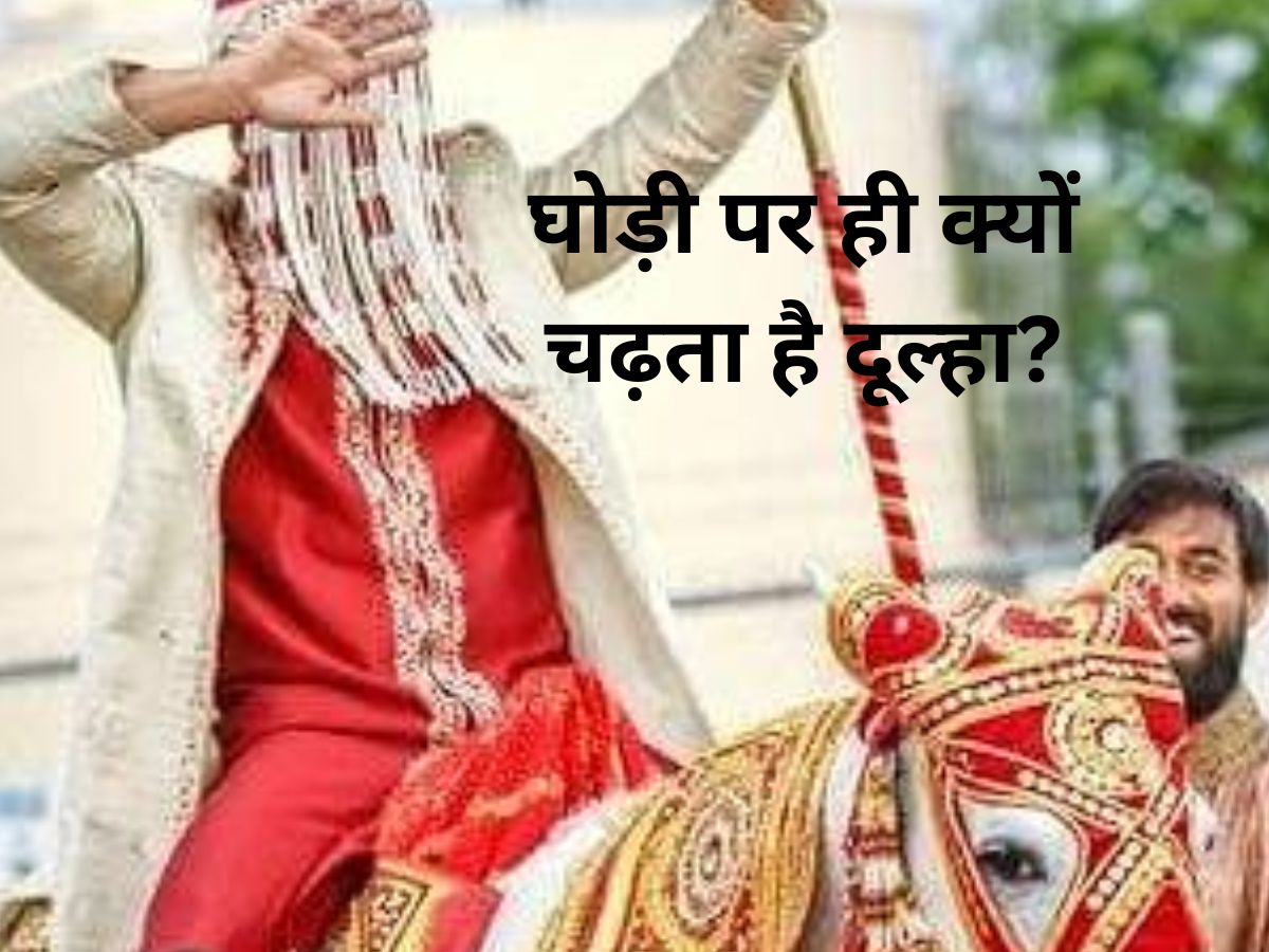 Why does the groom ride the mare know real reson दूल्हा घोड़ी पर ही