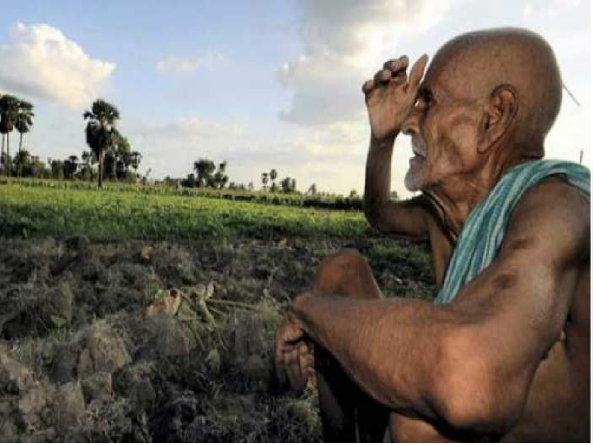 Bihar Monsoon 2023: मानसून के कमजोर पड़ने से किसानों के चेहरे मुरझाए, जानें कब होगी झमाझम बारिश