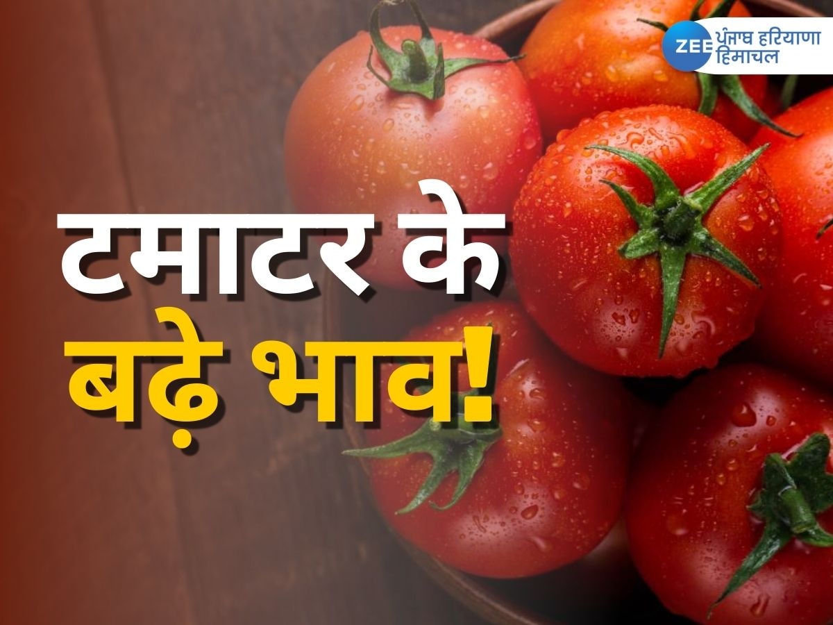 Tomato Price Hike: 10-20 रुपए किलो वाले टमाटर के बढ़े भाव, आम आदमी पर पड़ी महंगाई की मार 