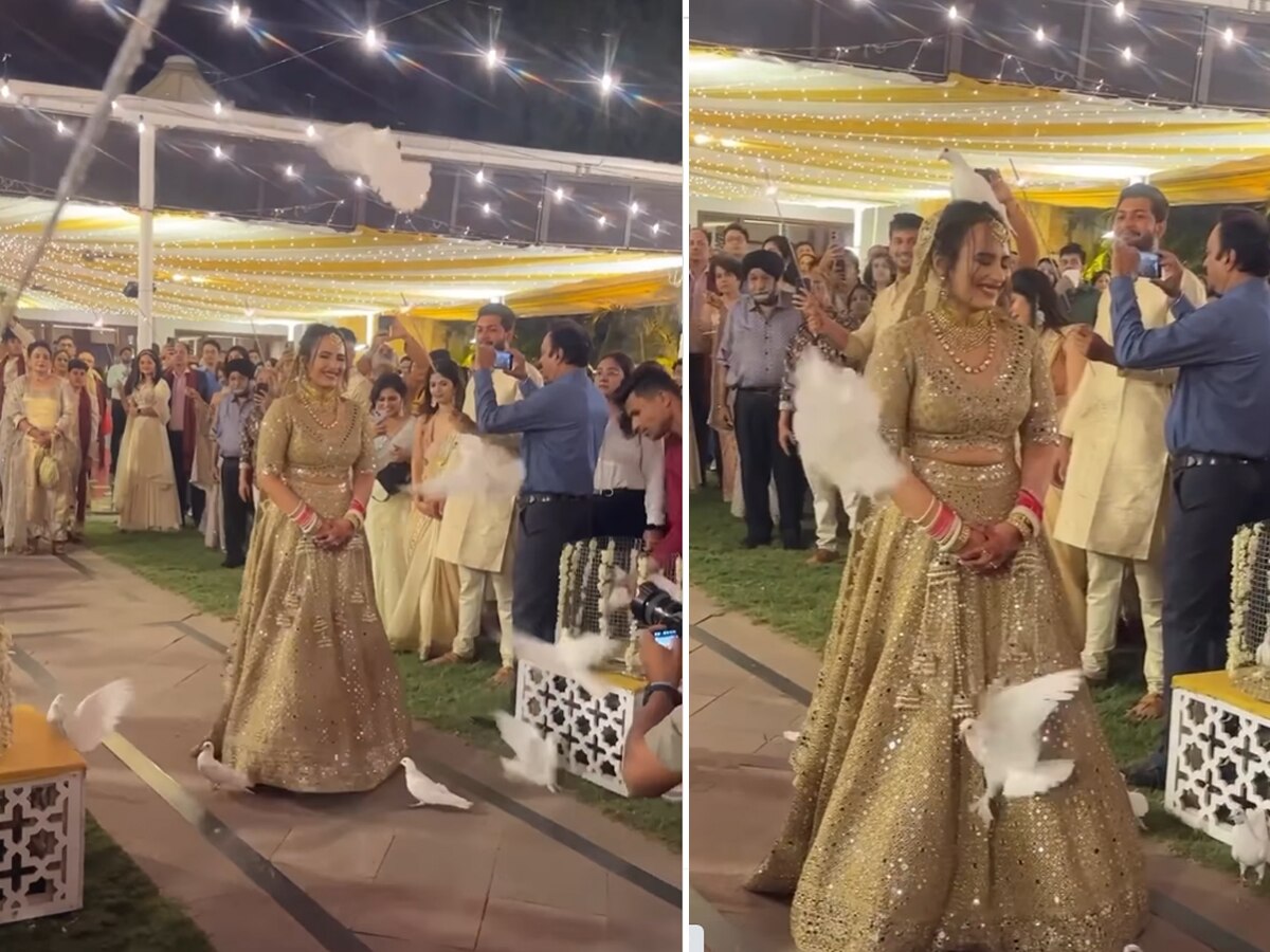 Wedding Video: शादी में दुल्हन की एंट्री हो गई बर्बाद, सिर पर आकर बैठ गया कबूतर और फिर 