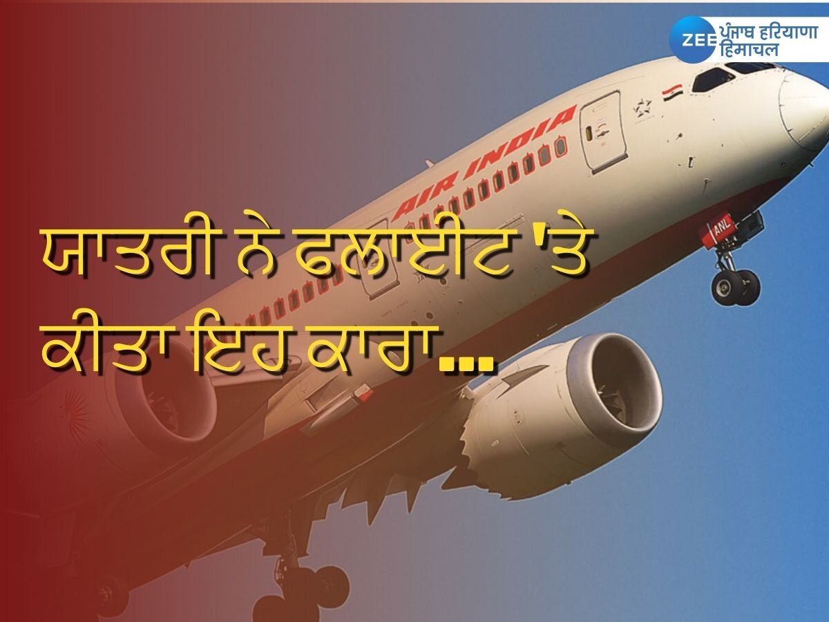 Air India News: ਸ਼ਰਮਨਾਕ! ਯਾਤਰੀ ਨੇ ਸਾਰਿਆਂ ਦੇ ਸਾਹਮਣੇ ਕੀਤਾ ਇਹ... ਕਾਰਾ, ਮੁੰਬਈ ਤੋਂ ਦਿੱਲੀ ਆ ਰਹੀ ਸੀ ਫਲਾਈਟ 