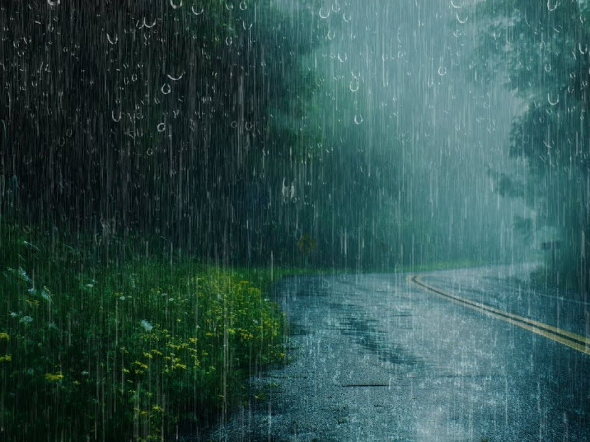 MP Weather Today: एमपी-छत्तीसगढ़ में भारी बारिश का अलर्ट जारी, जानें अपने जिले का हाल