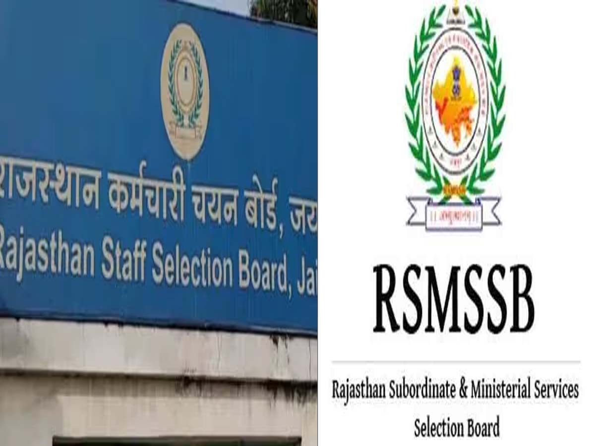 RSMSSB Recruitment 2023 Rajasthan Staff Selection Board Took Out Bumper ...