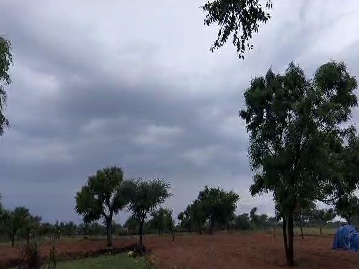 Nagaur Weather: नागौर में मौसम विभाग का अलर्ट, इन इलाकों में जमकर होगी बारिश 