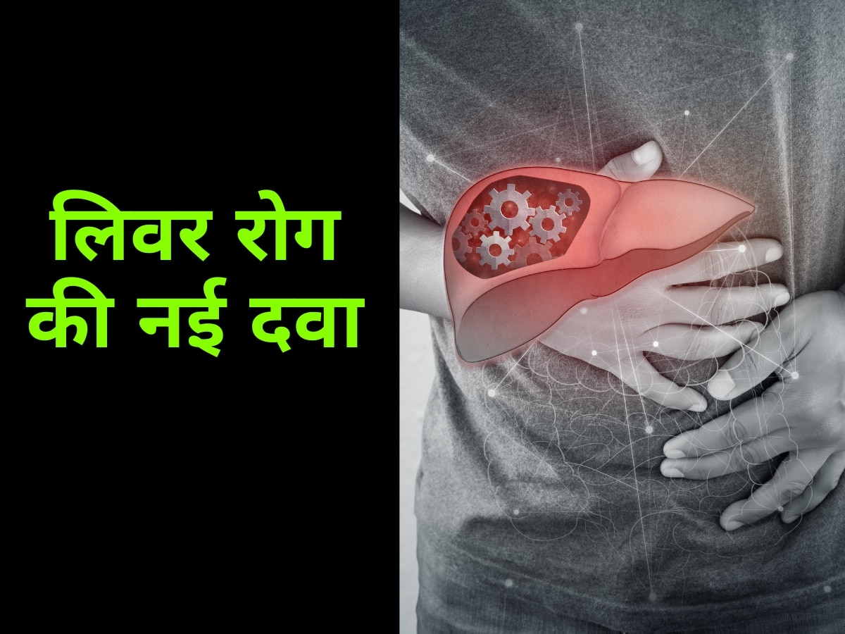 Liver Disease Treatment: अब लिवर की गंभीर से गंभीर बीमारी होगी ठीक! शोधकर्ताओं ने खोजी नई दवा