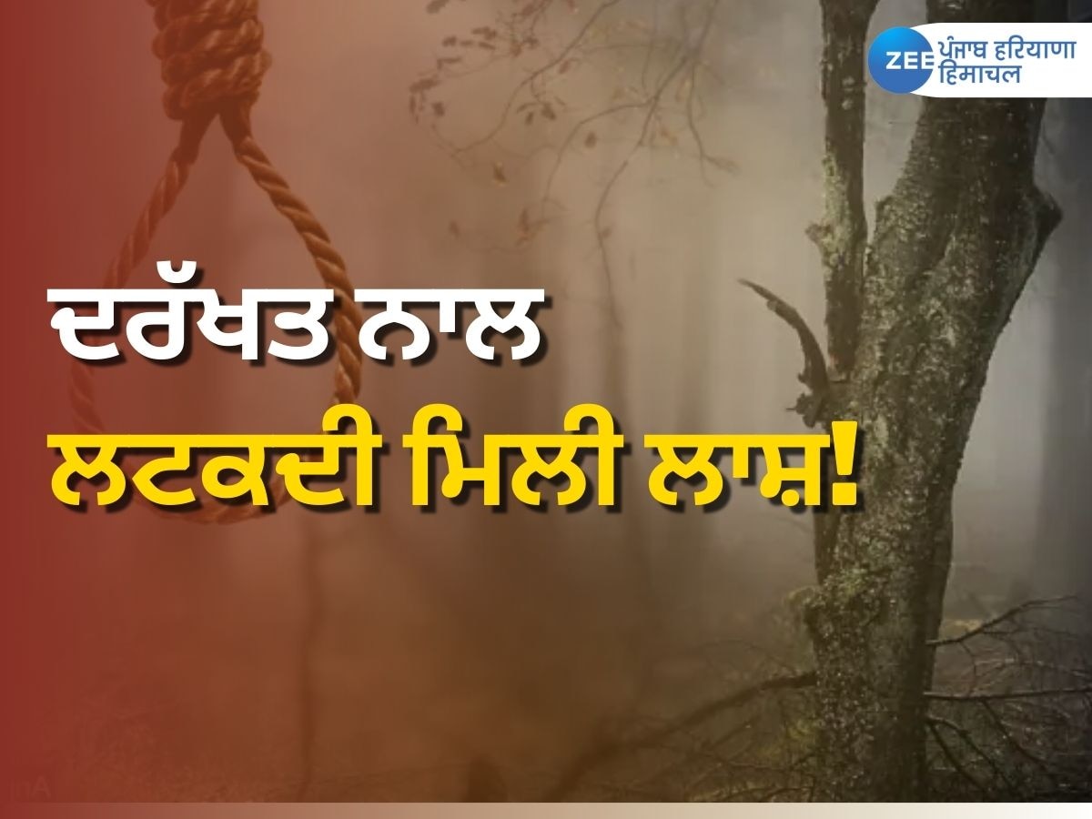 Punjab News: ਲੁਧਿਆਣਾ 'ਚ ਦਰੱਖਤ ਨਾਲ ਲਟਕਦੀ ਮਿਲੀ ਲਾਸ਼! 