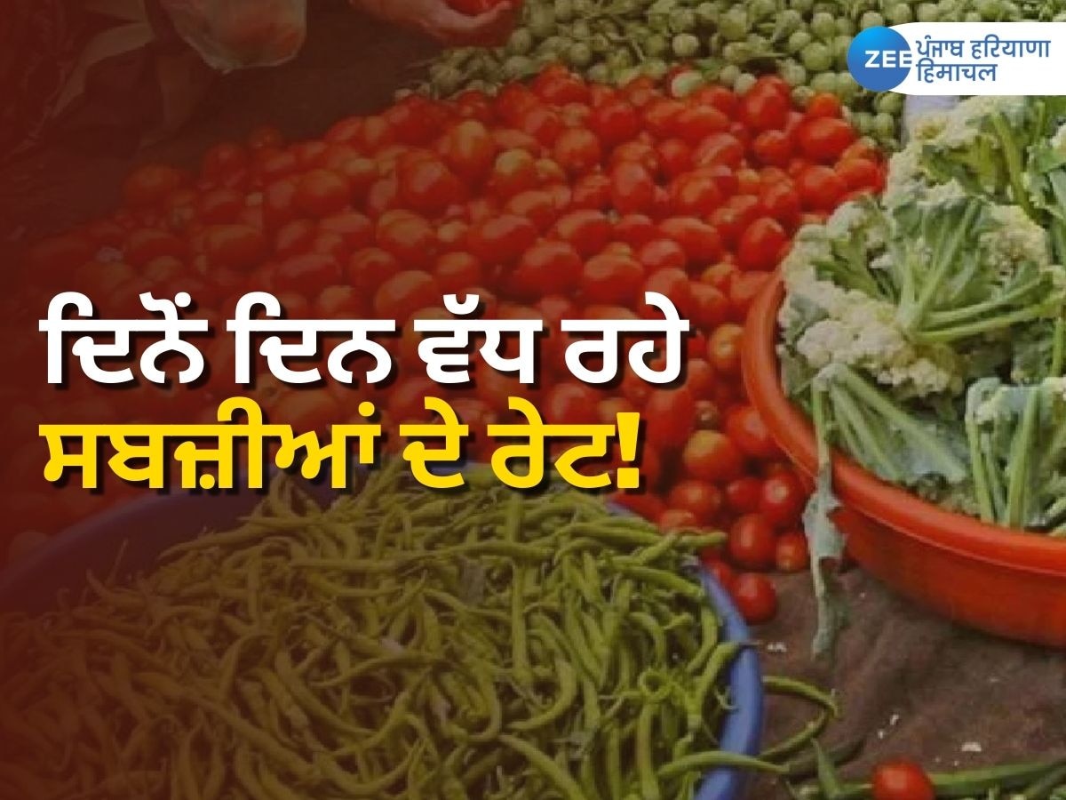 Punjab Vegetable Price Hike: ਦਿਨੋਂ ਦਿਨ ਵੱਧ ਰਹੇ ਸਬਜ਼ੀਆਂ ਦੇ ਰੇਟ! ਜਾਣੋ ਪੂਰਾ ਮਾਮਲਾ  