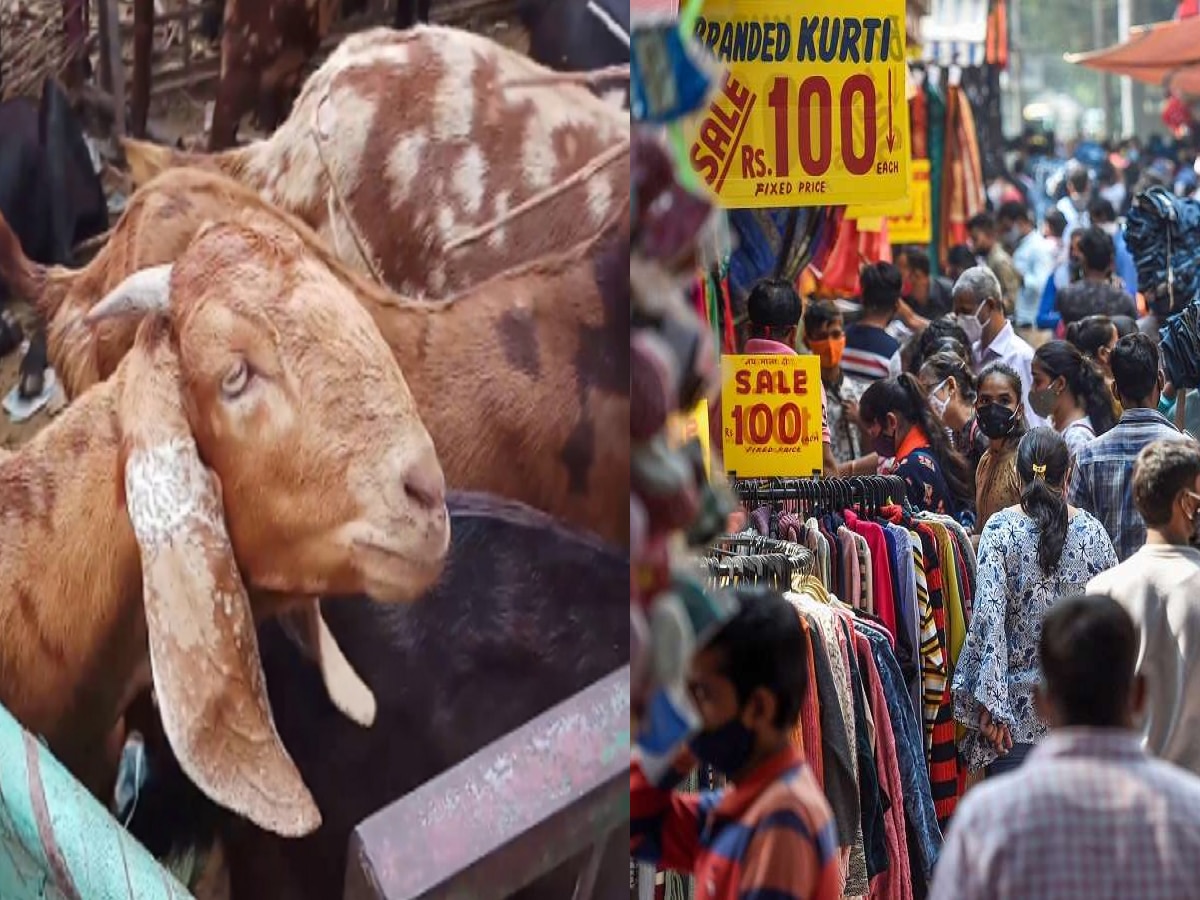 Bakra Eid Market Open: बकरीद पर इस बार दिल्ली के ये मार्केट नहीं रहेंगे बंद, इन बाजारों में लोग कर सकते हैं शॉपिंग 