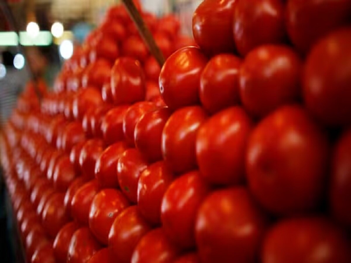 Tomato Price Hike: बिहार में टमाटर के भाव ने सब्जी का बिगाड़ा स्वाद, मूल्य शतक पार