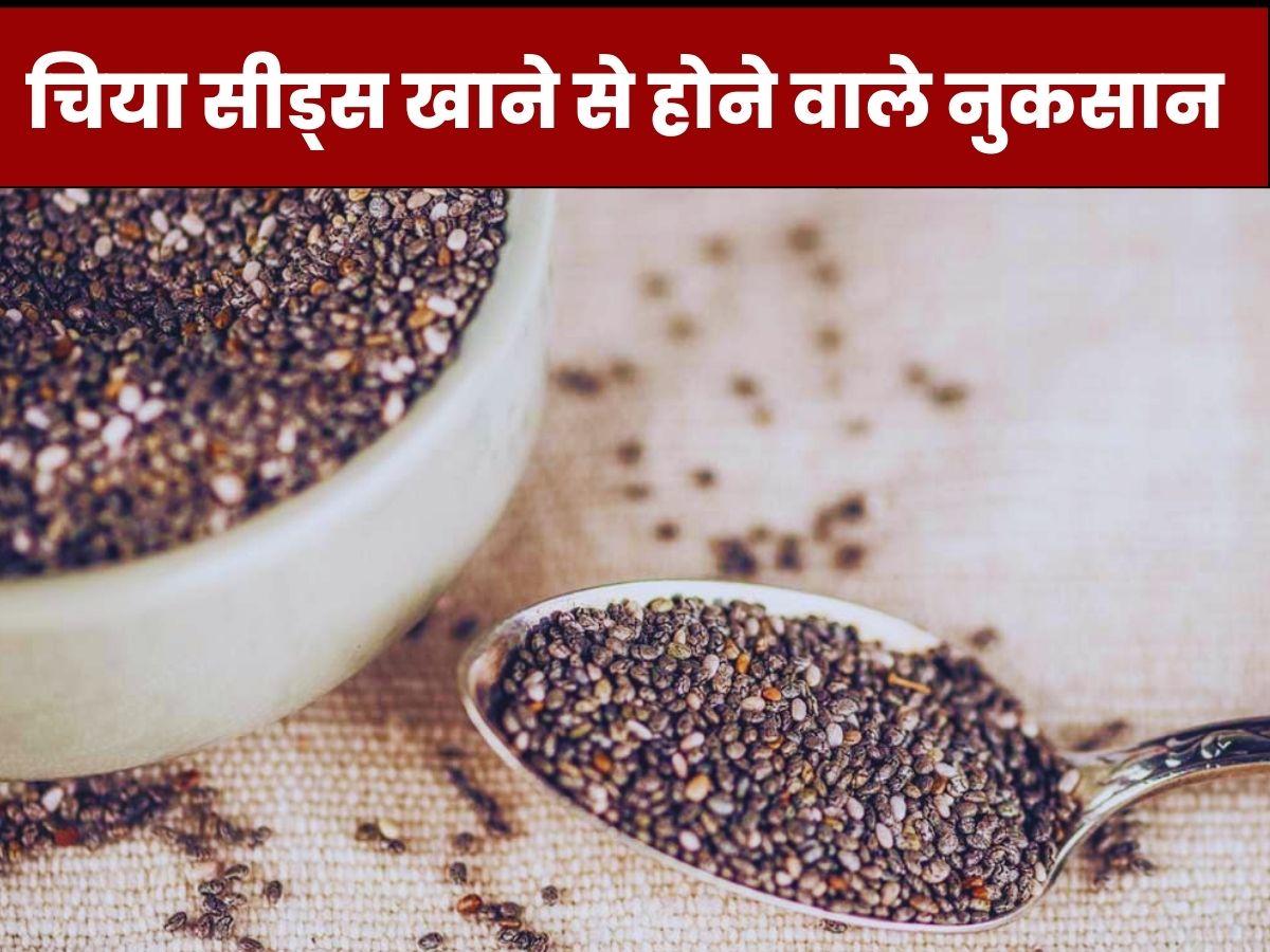 Side Effects of Chia Seeds Eating chia seeds can be harmful instead of beneficial Side Effects