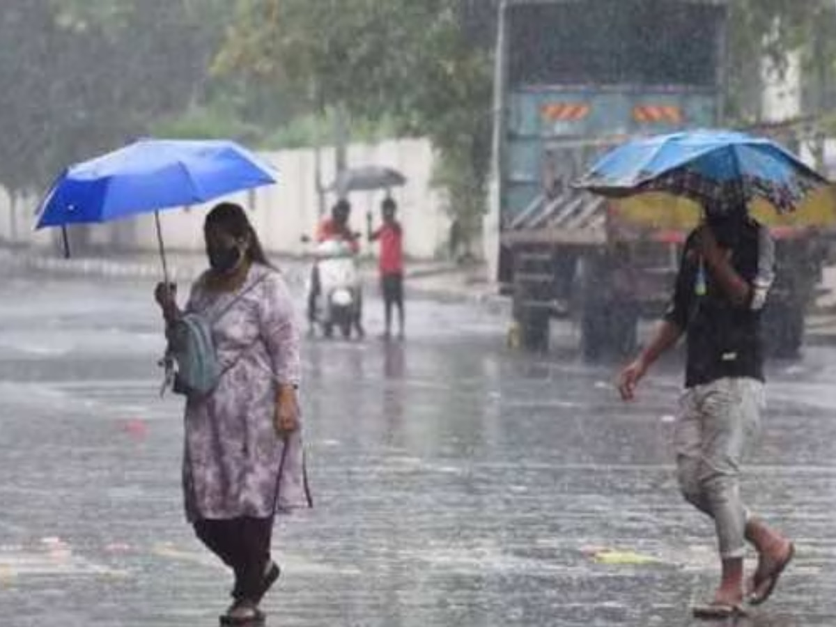 Mausam Samachar: MP में जारी हुआ भारी बारिश का अलर्ट, छत्तीसगढ़ में ऐसा रहेगा मौसम, जानें अपने जिले का हाल 