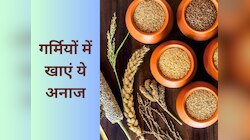गर्मियों में रहना है हेल्दी? डाइट में शामिल करें ये अनाज, नहीं पड़ेंगे बीमार