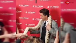 इंटरव्यू के बीच शख्स ने Shah Rukh Khan के गले में पहना दिया अजगर, फिर जो हुआ देख सहम गए लोग 