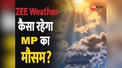 MP में मानसून की बारिश, 5 में ऑरेंज और 17 जिलों में येलो अलर्ट जारी; बढ़ेगी परेशानी