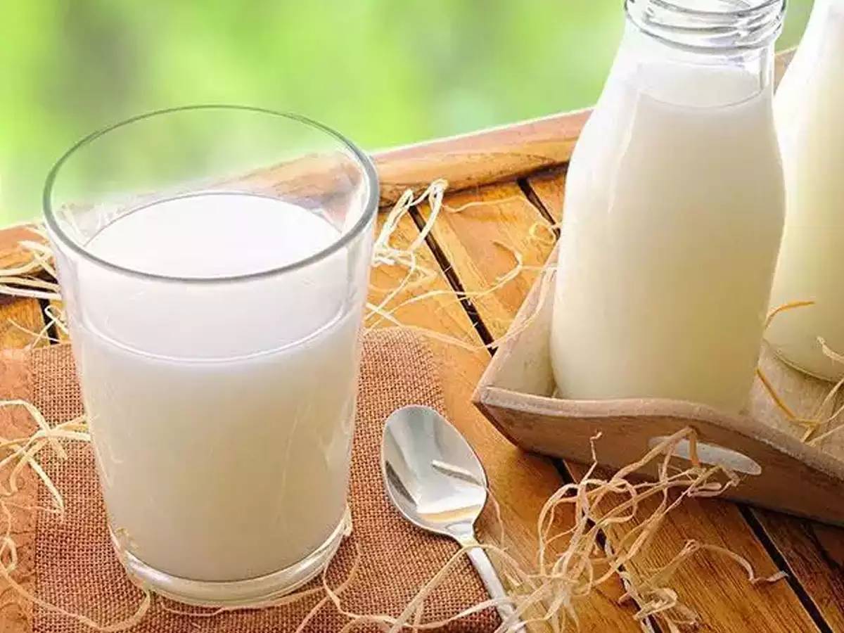 गाय का दूध या भैंस का दूध, जानें सेहत के लिए क्या है ज्यादा बेहतर 
