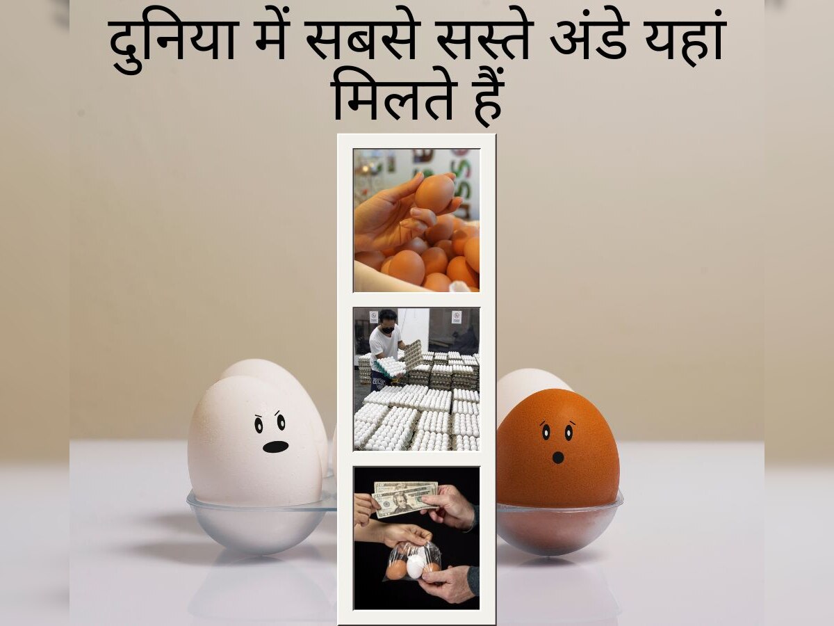 अंडों की कीमत के आधार पर देशों की लिस्ट जारी; यहां मिलता है 46 रु का एक अंडा, भारत में है सबसे कम दाम