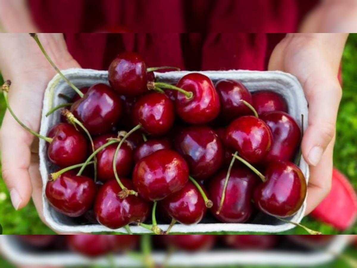 Cherry health Benefits: 15 दिन में टमाटर जैसा लाल कर दे ये फल, स्वास्थ्य को देता है 10 तरह के फायदे