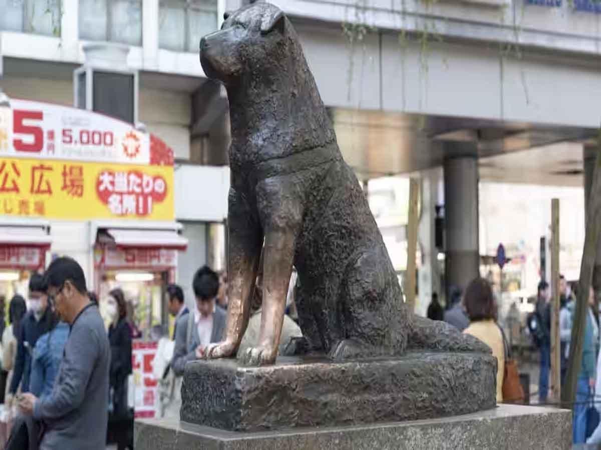 Story of Hachiko: दुनिया का सबसे वफादार कुत्ता, 10 साल तक रेलवे स्टेशन पर करता रहा अपने मालिक का इंतजार