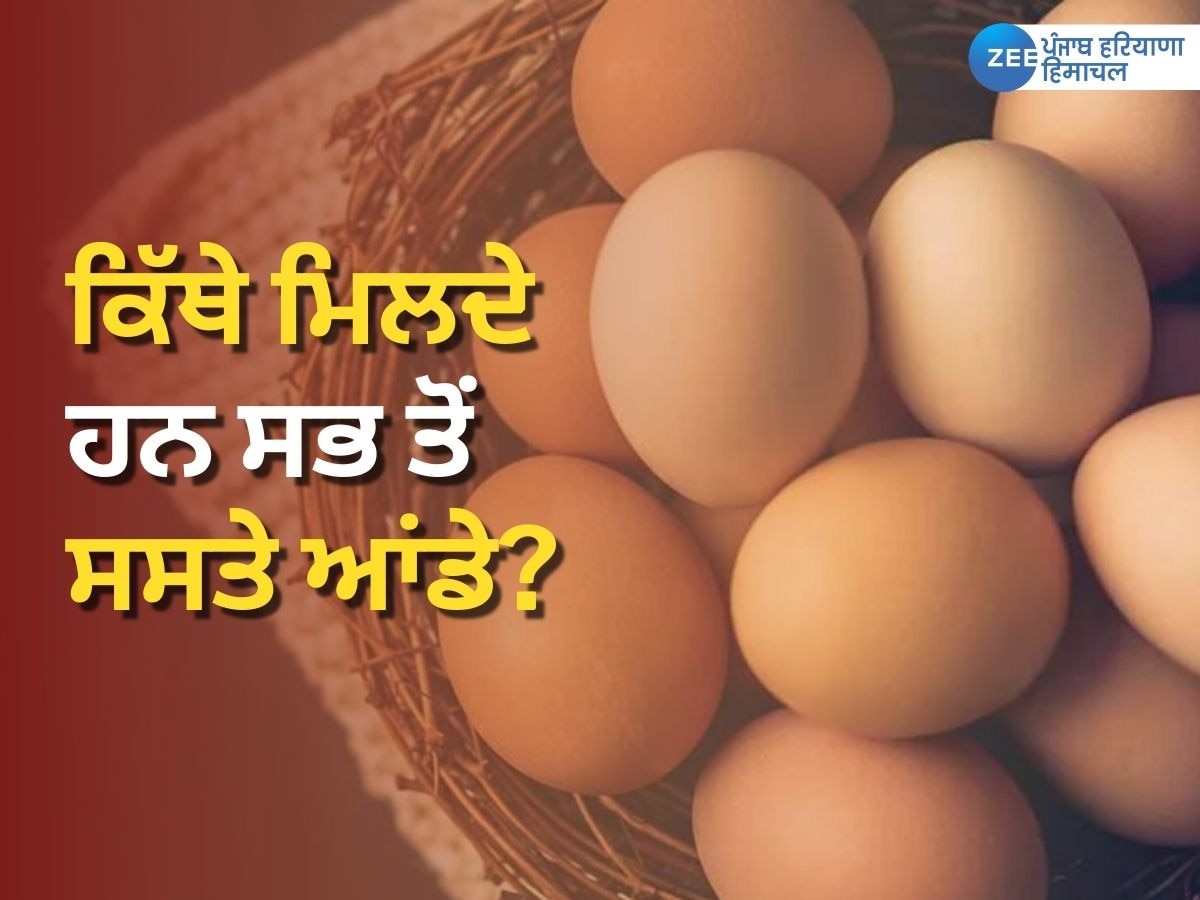 Egg Price: ਦੁਨੀਆ ਵਿੱਚ ਇਸ ਥਾਂ 'ਤੇ ਮਿਲਦਾ ਹੈ ਸਭ ਤੋਂ ਮਹਿੰਗਾ ਅਤੇ ਸਸਤਾ ਆਂਡਾ!