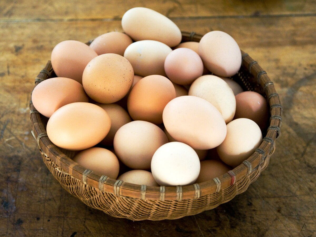 Daily GK Quiz: बताएं आखिर भारत के किस राज्य को 'अंडों की टोकरी' कहा जाता है? 