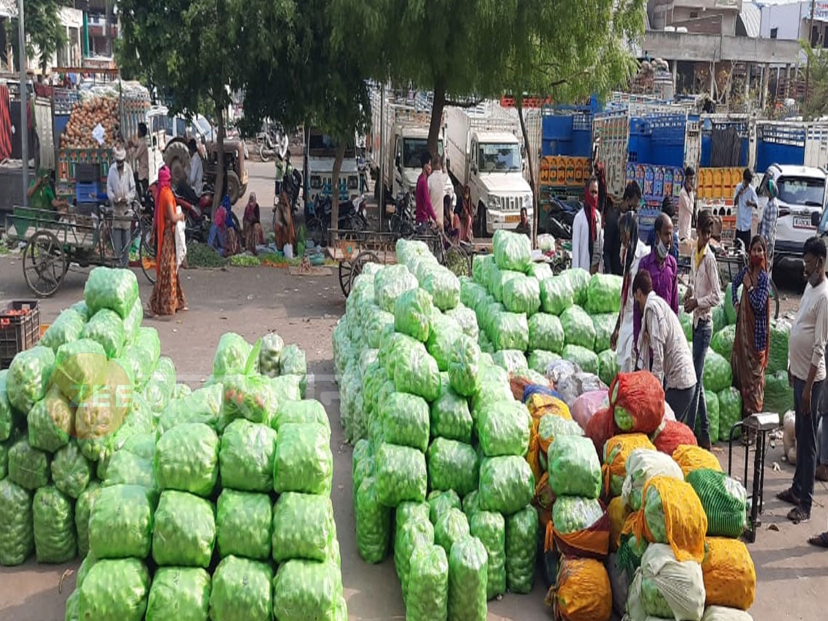 vegetables prices in Rajasthan: राजस्थान में सब्जियों के भाव छू रहे आसमान, जानिए क्या है वजह