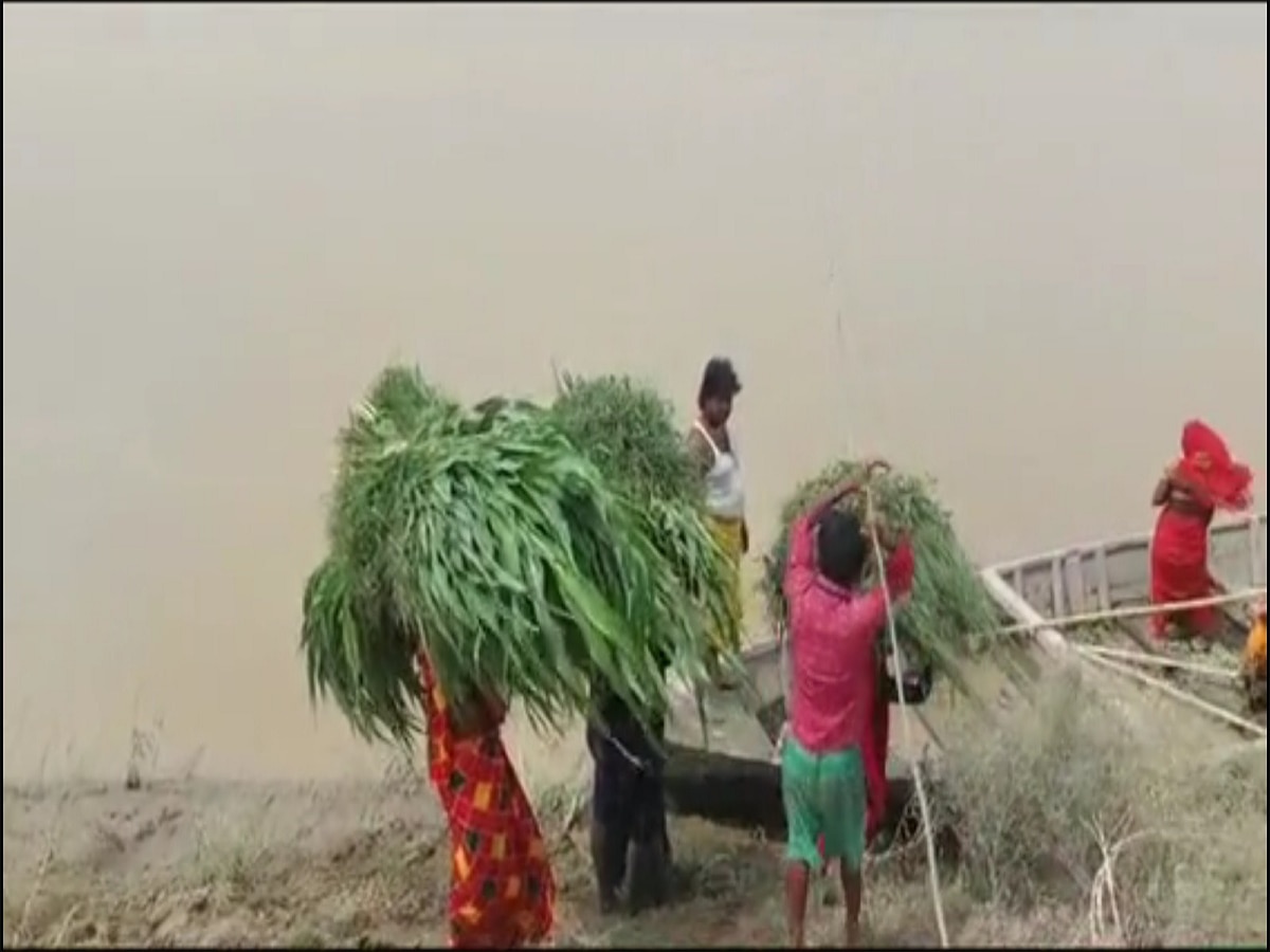 Bihar Flood: चचरी पुल को बहा ले गई बागमती नदी, इस पार से उस पार जाने में हाथों में पड़ रहे छाले, मोटर बोट की बढ़ रही डिमांड