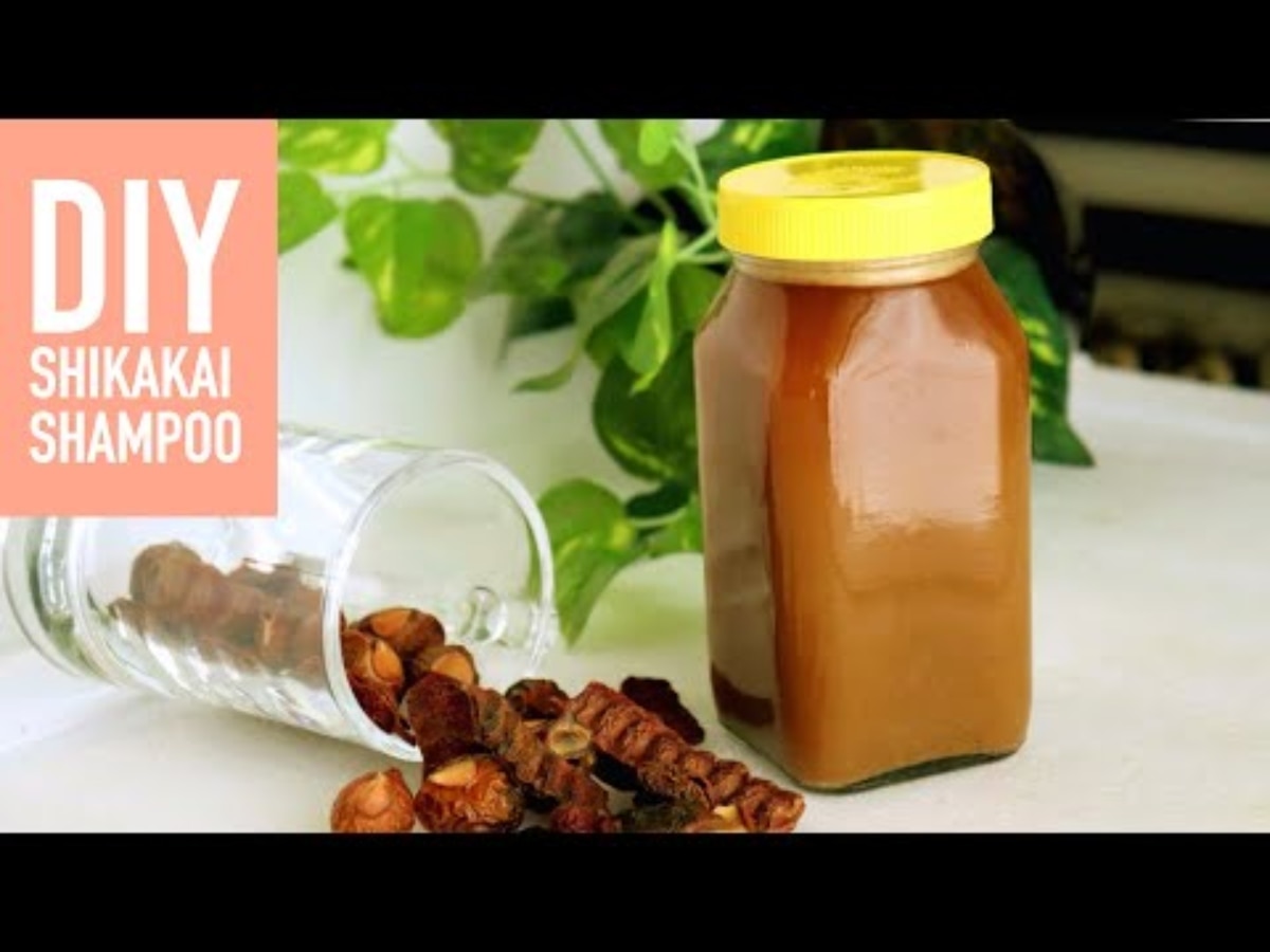 How To Make Shikakai Shampoo At Home Shikakai Hair Benefits Hindi News