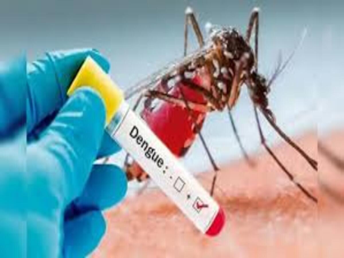 BMC Dengue Campaign: ଡେଙ୍ଗୁ ନିୟନ୍ତ୍ରଣ ପାଇଁ ବିଏମସି ପକ୍ଷରୁ କାର୍ଯ୍ୟକାରୀ ହେଲା ସ୍ୱତନ୍ତ୍ର ଅଭିଯାନ
