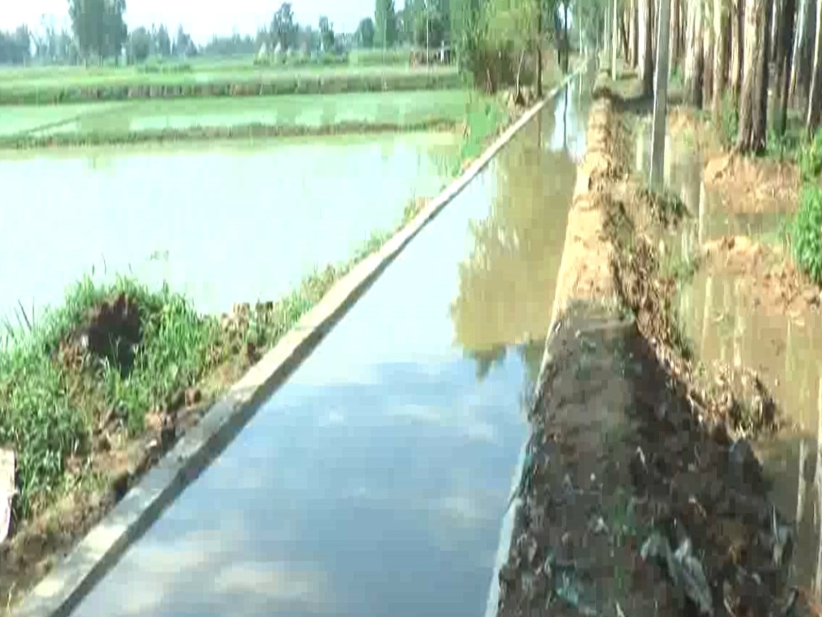  Himachal Pradesh News: नहर विभाग की लापरवाही के कारण किसानों को हुआ काफी नुकसान!