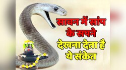 Sawan में सपने में सांप दिखना होता है शुभ, जानें सपने में नागदेव आने का क्या मतलब 