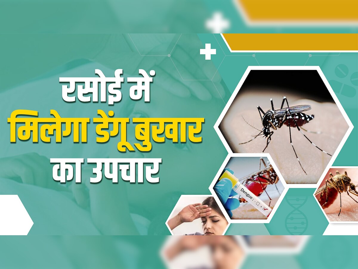 Dengue Home Remedy: अगर डेंगू बुखार से हैं परेशान तो घर की रसोई में छिपे हैं ये उपाय