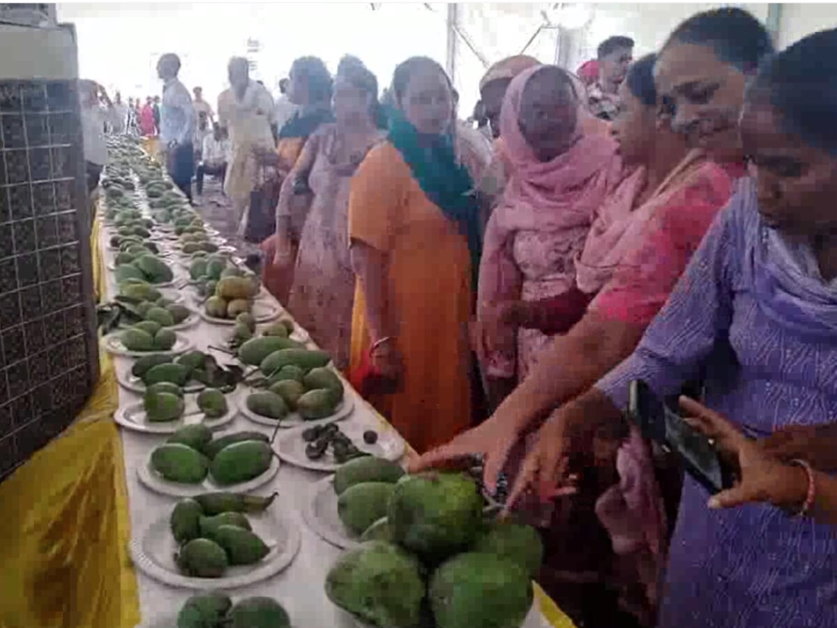 Mango Festival Kurukshetra 3 day fruit mela started 270 varieties of