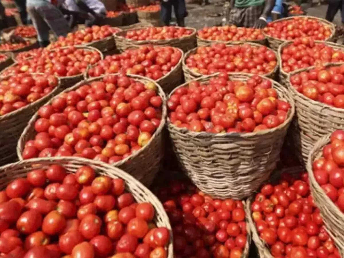Tomato retail Price further shoots up to rs 162 per kg Tomato Price