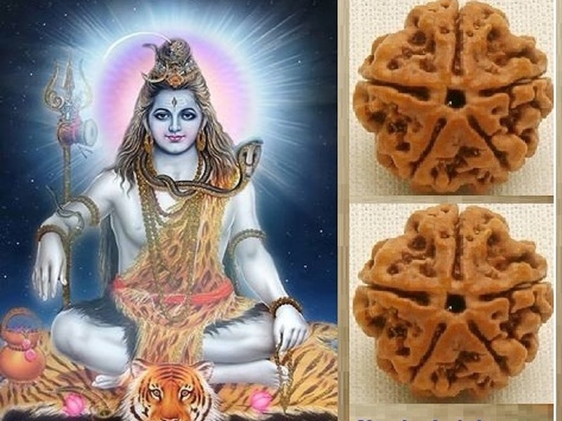Rudraksha: ଭୋଳାବାବାଙ୍କ ଅତିପ୍ରିୟ କେମିତି ହେଲା ଋଦ୍ରାକ୍ଷ, ଜାଣନ୍ତୁ ରହସ୍ୟ