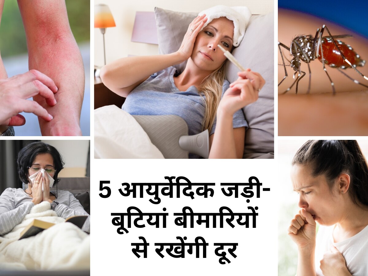 Ayurvedic Herbs: इस मानसून बीमारियों से दूर रहने के लिए डाइट में शामिल करें ये 5 शक्तिशाली आयुर्वेदिक जड़ी-बूटियां