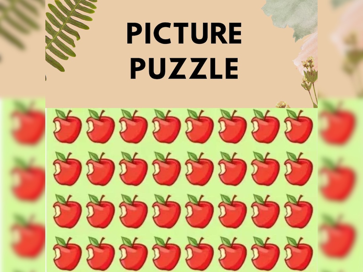 pitcure puzzle