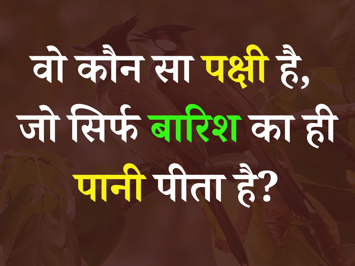 Quiz: आखिर ऐसा कौन सा पक्षी है, जो सिर्फ बारिश का ही पानी पीता है? 