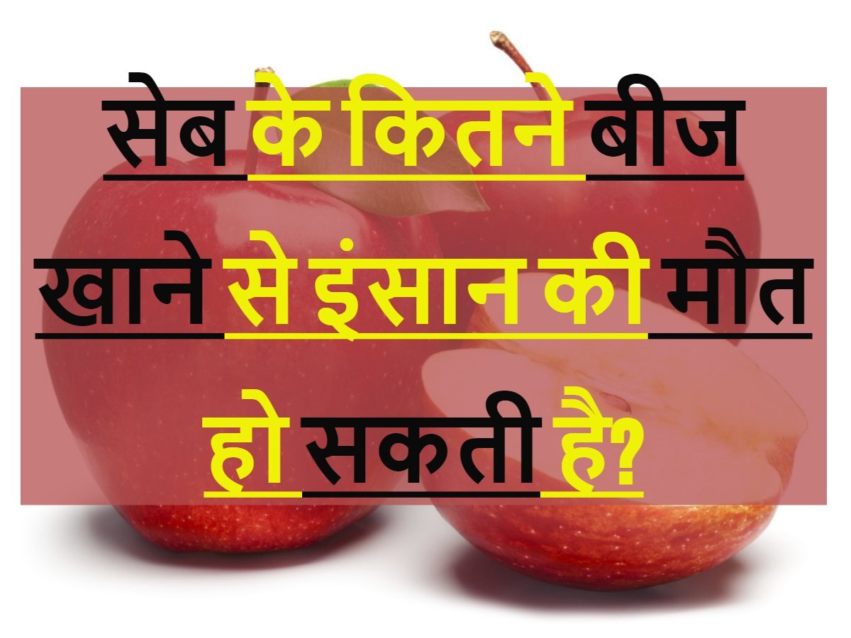 GK trending quiz Eating how many seeds of apple can kill a person Quiz सेब के कितने बीज खाने