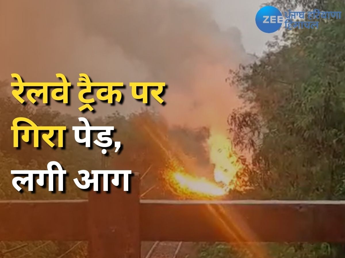 Una Fire News: ऊना में रेलवे ट्रैक की हाईटेंशन तारों पर पेड़ गिरने से लगी आग, रेल मार्ग बाधित